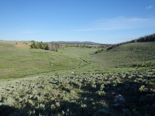 GDMBR: Looking up Strawberry Creek.